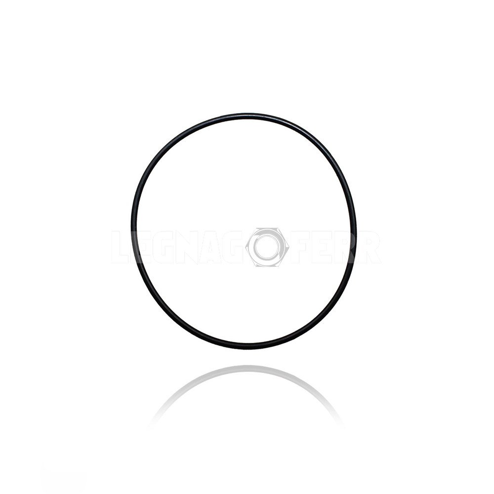 Anello O-ring Guarnizione D. 5,5 cm per Caldaia Riello Ricambi 3007162 1 Riello 3007162 Anello O-ring Guarnizione Caldaia Ricambi
