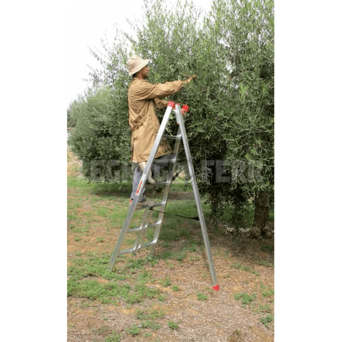 Scala a Tre Piedi Faraone SA in Alluminio per Agricoltori 