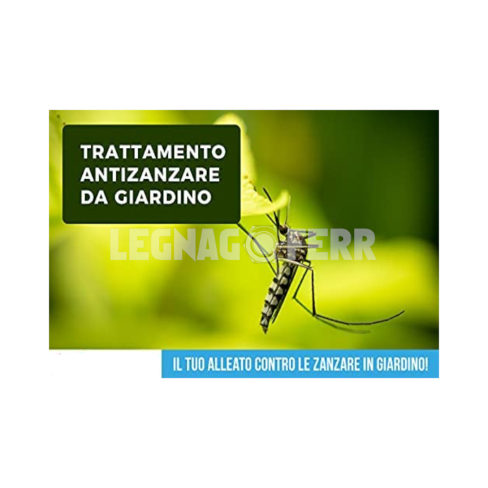 Zanzare 1