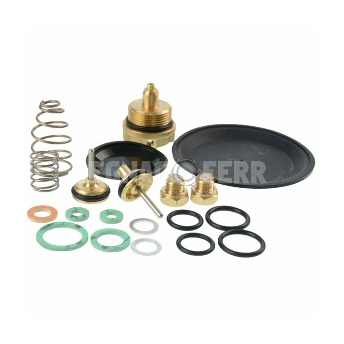 Legnagoferr LF013 Kit Revisione Prima Serie Caldaia Compatibile legnagoferr