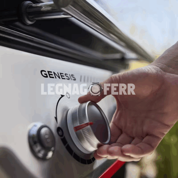 Weber Genesis E 415 Barbecue a Gas 1501176 legnagoferr (1)
