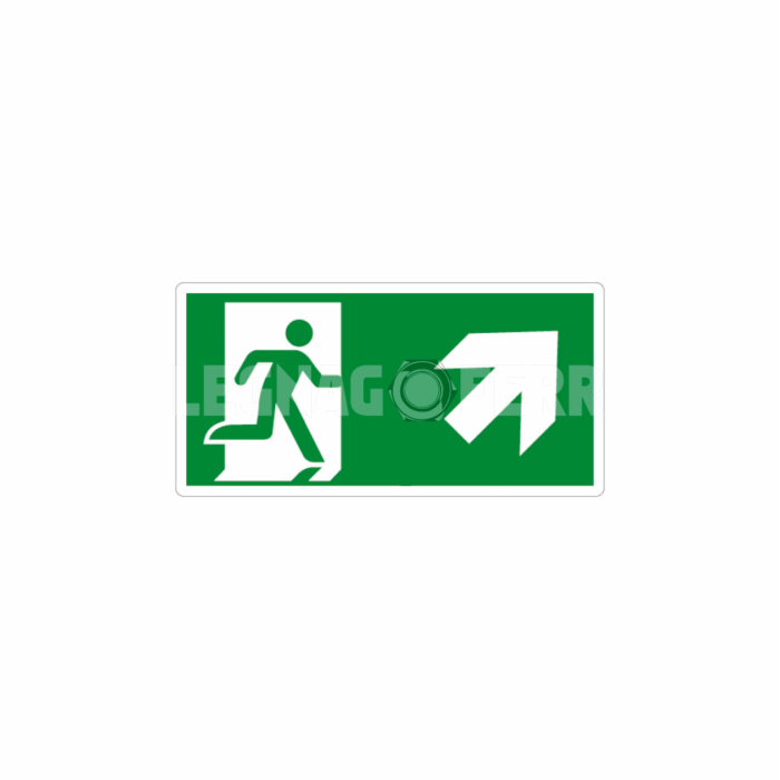 cartello uscita di emergenza legnagoferr