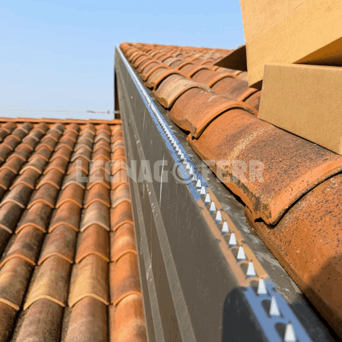 dissuasore aisi 301 legnagoferr